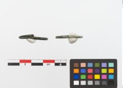 Foto von Bronzering (NHMW-PRAE-023768)